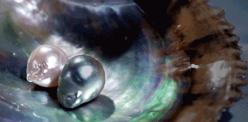 〈虹の守珠〉とは